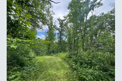 Tbd Boot Lake Road SW, Bemidji, MN 56601 - Photo 32
