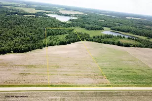 Tbd Boot Lake Road SW, Bemidji, MN 56601 - Photo 1