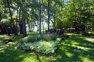 24823 553rd Ave, Grove City, MN 56243 - Photo 36