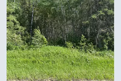 Tbd 10 County Rd 75, Orr, MN 55771 - Photo 6