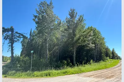 Tbd 10 County Rd 75, Orr, MN 55771 - Photo 2