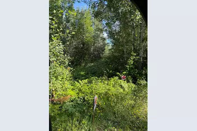 000 County Rd 56, Nashwauk, MN 55769 - Photo 6