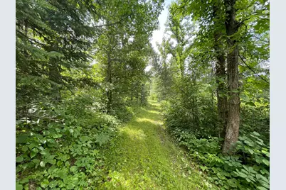Tbd2 Boot Lake Road SW, Bemidji, MN 56601 - Photo 30