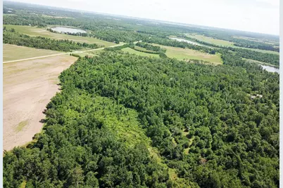 Tbd2 Boot Lake Road SW, Bemidji, MN 56601 - Photo 10