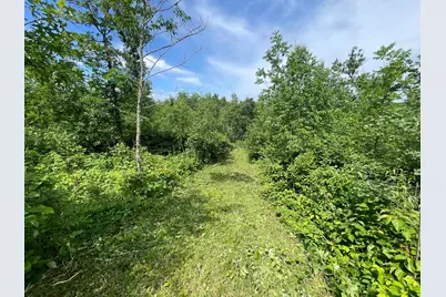 Tbd2 Boot Lake Road SW, Bemidji, MN 56601 - Photo 38