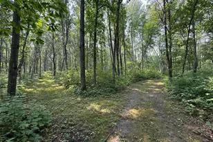 26193 Old Mill Rd, Merrifield, MN 56465 - Photo 56