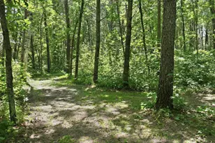 26193 Old Mill Rd, Merrifield, MN 56465 - Photo 54