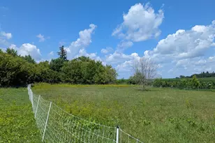 56844 205th Ave, Dodge Center, MN 55927 - Photo 44