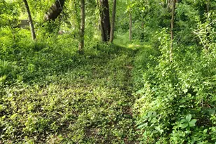 12705 347th St, Lindstrom, MN 55045 - Photo 22