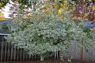 6009 Quebec Ave N, New Hope, MN 55428 - Photo 6