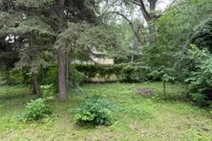 630 Hall Ln, Minneapolis, MN 55411 - Photo 4