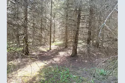 Tbd-20Ac Sleepy Hollow Road, Brainerd, MN 56401 - Photo 6