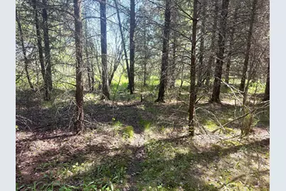 Tbd-20Ac Sleepy Hollow Road, Brainerd, MN 56401 - Photo 4