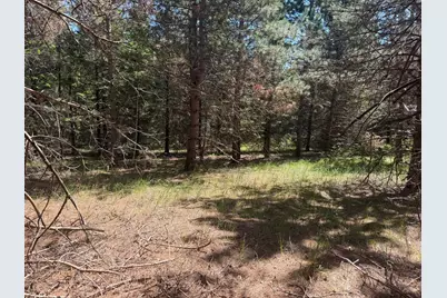 Tbd-20Ac Sleepy Hollow Road, Brainerd, MN 56401 - Photo 14