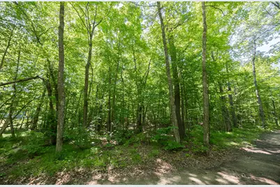 Tbd County 5, Hackensack, MN 56452 - Photo 8