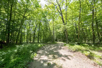 Tbd County 5, Hackensack, MN 56452 - Photo 4