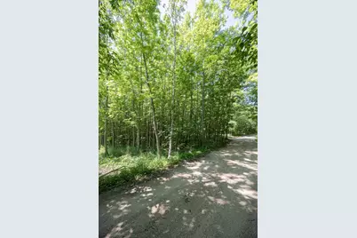 Tbd County 5, Hackensack, MN 56452 - Photo 6