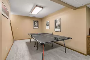 900 Nina Ct, Mendota Heights, MN 55118 - Photo 44
