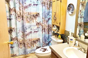 18010 480th Ln, McGregor, MN 55760 - Photo 16