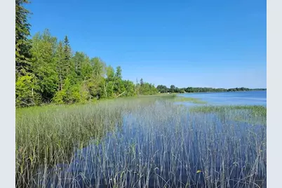 Lot 7 - Tbd Driftwood Lane NW, Baudette, MN 56623 - Photo 20