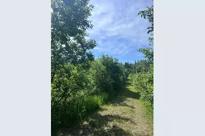 Tbd Main Street E, Menahga, MN 56464 - Photo 1