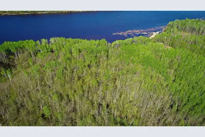 Lot 11 - Tbd Driftwood Lane NW, Baudette, MN 56623 - Photo 4