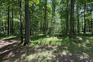 42680 Leigh Dr, Bruno, MN 55712 - Photo 14