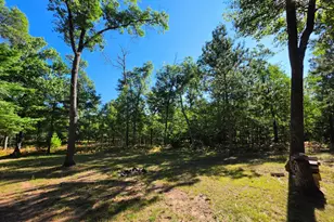 29110 Treasure Island Trail Way, Danbury, WI 54830 - Photo 8