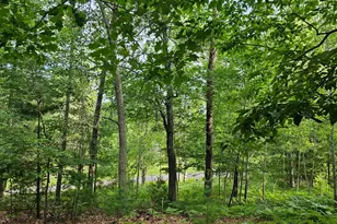 29110 Treasure Island Trail Way, Danbury, WI 54830 - Photo 52