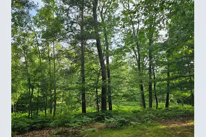 29110 Treasure Island Trail Way, Danbury, WI 54830 - Photo 8