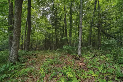 Tbd Garden Ln Lane, McGregor, MN 55760 - Photo 1