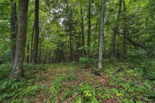Tbd Garden Ln Ln, McGregor, MN 55760 - Photo 1