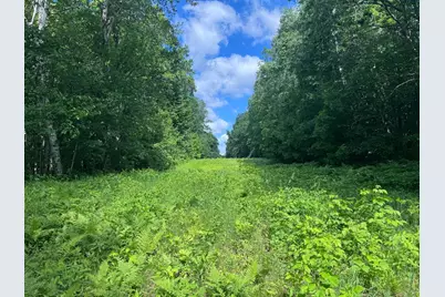 Tbd Cedar Road, Cushing, MN 56443 - Photo 10