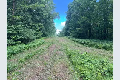 Tbd Cedar Road, Cushing, MN 56443 - Photo 14