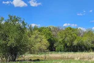 3698 135th St, Plato, MN 55370 - Photo 54