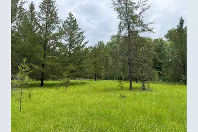 Tbd 350th Street, Menahga, MN 56464 - Photo 90