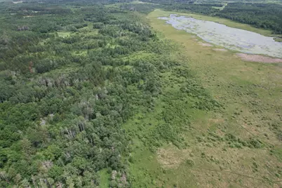 Tbd 350th Street, Menahga, MN 56464 - Photo 18