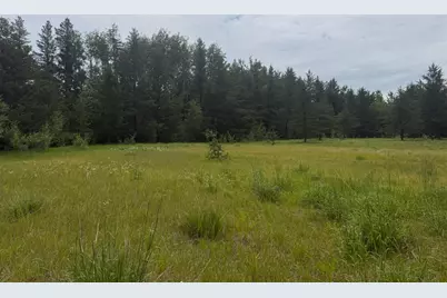 Tbd 350th Street, Menahga, MN 56464 - Photo 56