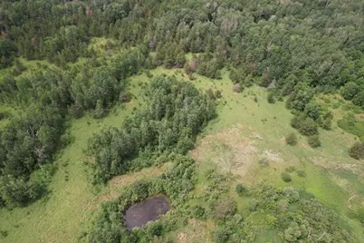 Tbd 350th Street, Menahga, MN 56464 - Photo 26