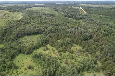 Tbd 350th Street, Menahga, MN 56464 - Photo 24