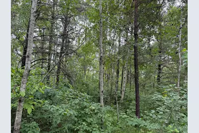 Tbd 350th Street, Menahga, MN 56464 - Photo 92