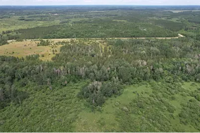 Tbd 350th Street, Menahga, MN 56464 - Photo 4