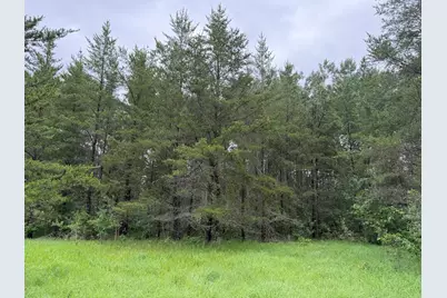 Tbd 350th Street, Menahga, MN 56464 - Photo 60