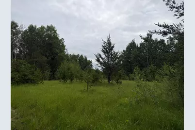 Tbd 350th Street, Menahga, MN 56464 - Photo 52