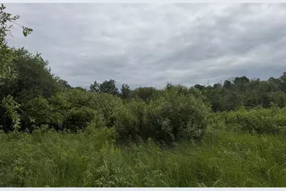 Tbd 350th Street, Menahga, MN 56464 - Photo 38