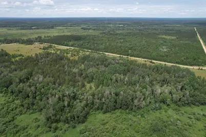 Tbd- 350th Street, Menahga, MN 56464 - Photo 6