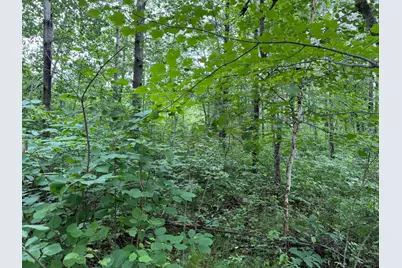 Tbd- 350th Street, Menahga, MN 56464 - Photo 18