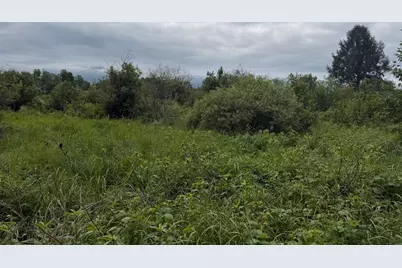 Tbd- 350th Street, Menahga, MN 56464 - Photo 50
