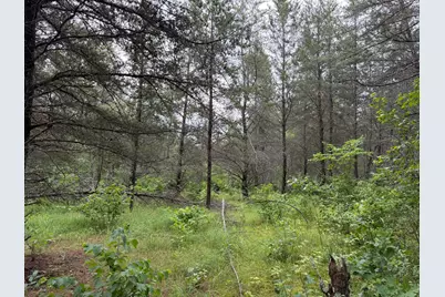 Tbd- 350th Street, Menahga, MN 56464 - Photo 42
