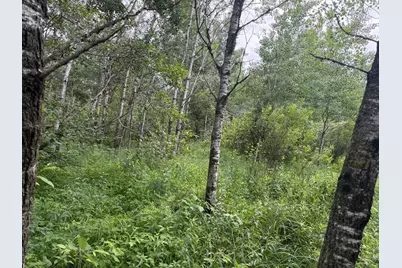 Tbdx 350th Street, Menahga, MN 56464 - Photo 32